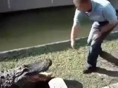 WCGW if you play with a ?