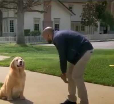 Dog tries to play fetch ..