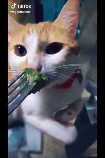 Smelling Broccoli
