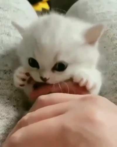 I See,I Die ?