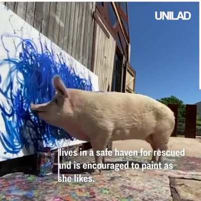 This record breaking pig recently earnt over $25,000 for this painting ??