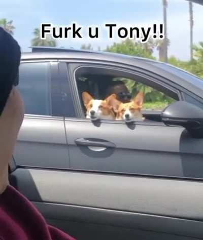 What?