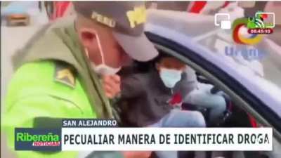 Cop testing drugs the "Old Way" on TV