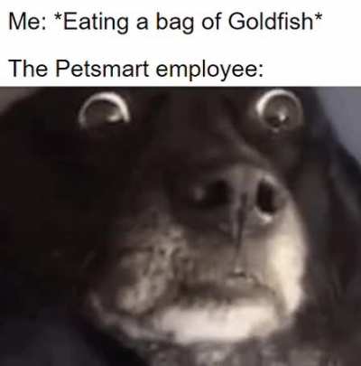 Wait hol up