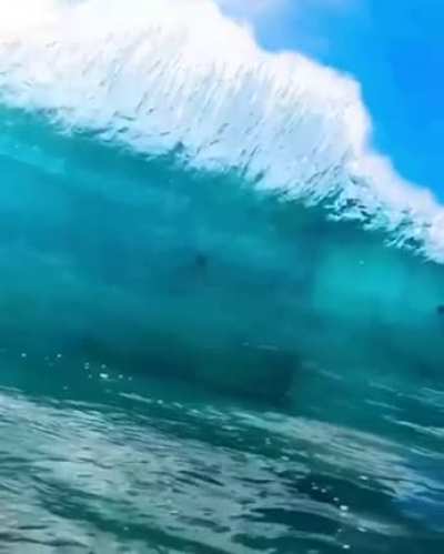 A serene wave