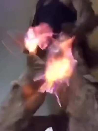 i need help findng a post here i remember i saw it but then forgot about it was like someething about dream and gore or something i wana see it again cause why the fuck not soo help me out plz and thank u