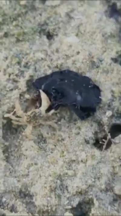 What the f*ck is this?