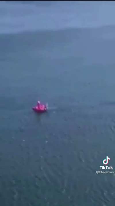 to float in a pink flamingo