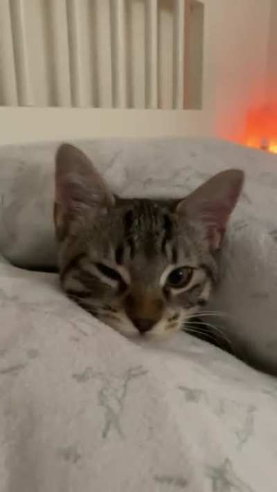 meet finn?