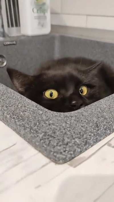 You can never be too careful to what lurks in the sink ?