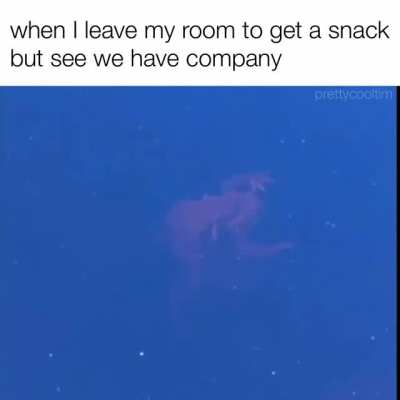 back to the shadows