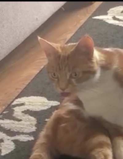 When you’re in mid groom and you suddenly remember that embarrassing thing you did years ago.