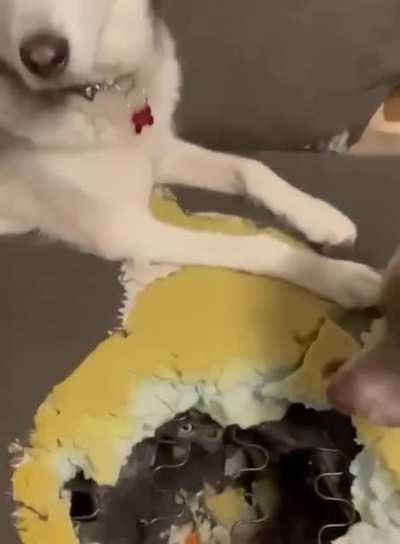 It's not what you thought mommy ?