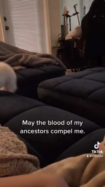 Wait for it… ?