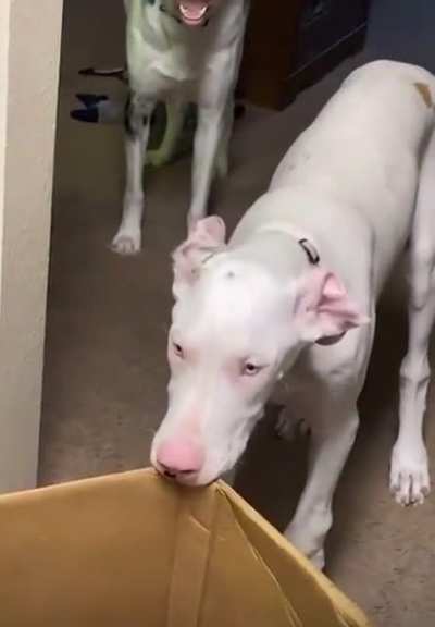 Those eyes tho