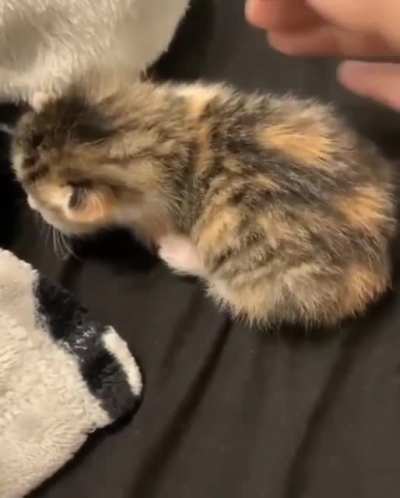 Attempt at comforting went... poorly