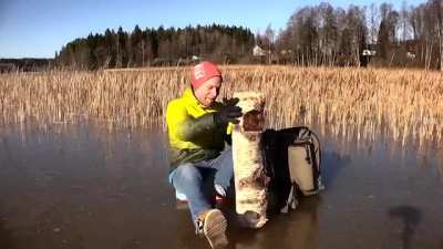 When you tap a log on the ice