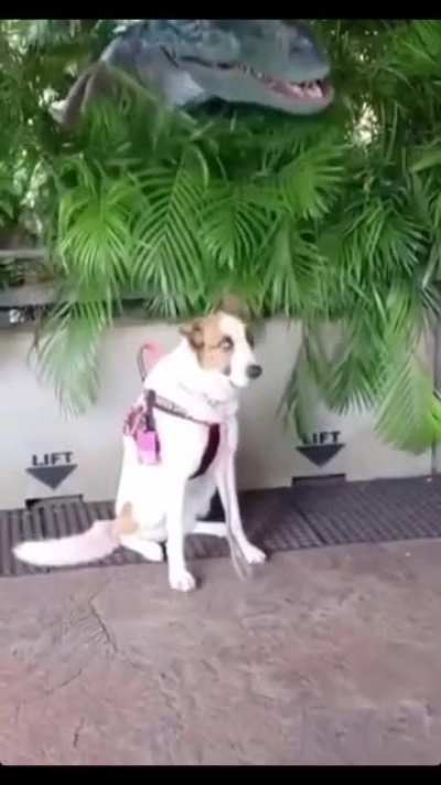 "Really, Gary? This shit again? You said we were going to the park. Am I a clown to you?"