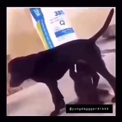bruh
