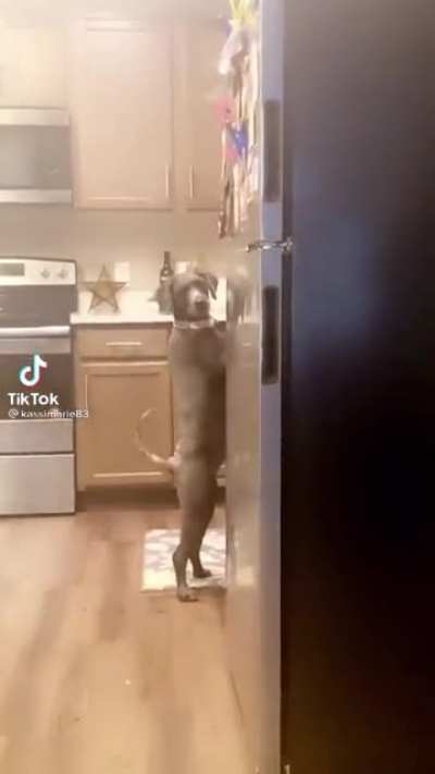 “Oh damn she caught me, just walk away and act natural”