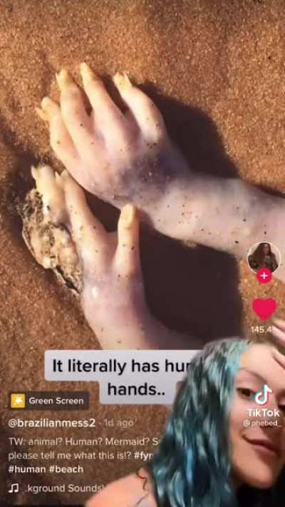 Mermaid? What do you think