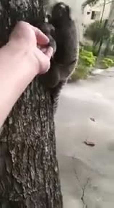 Be kind to all creatures