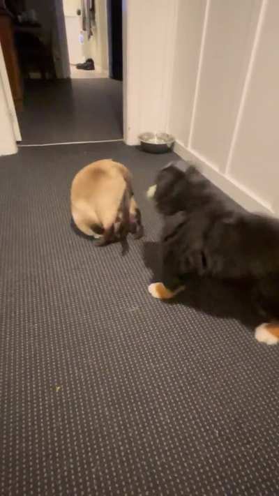 Lifetime friendship in the making