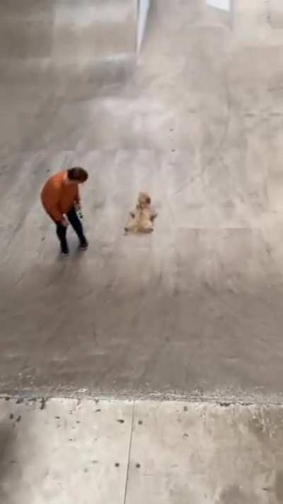 Furry Mascots in X-Games mode! <3