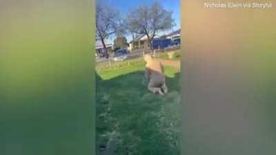 Maybe maybe maybe