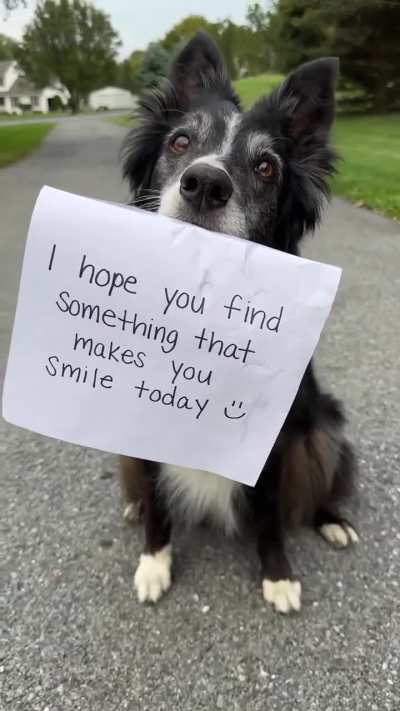 A reason to smile