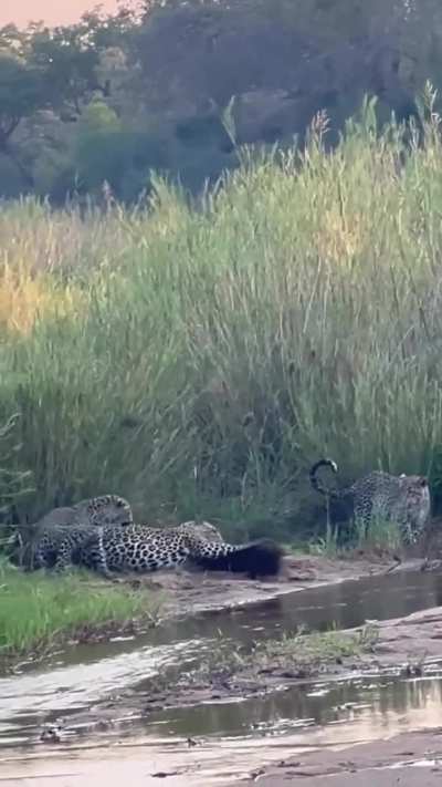 Maybe maybe maybe