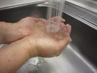 watch this little birb take a shower