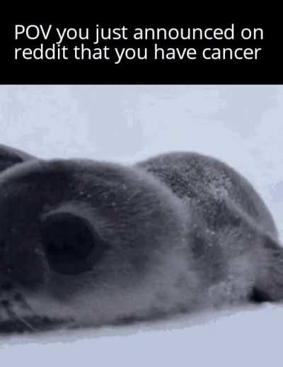 The wholesomeness is off the charts...