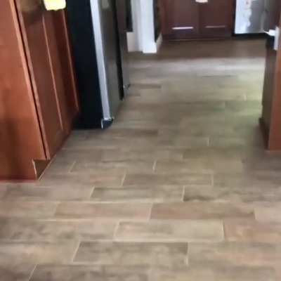 Someone Recorded Their Cat Saying "Well, Hi!" in a Southern Accent