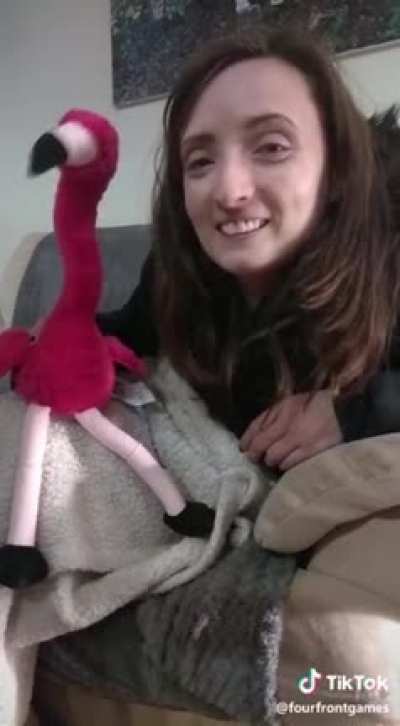 Phyco flamingo