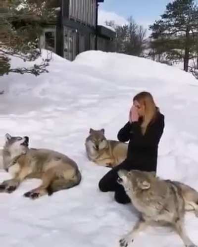 Welcome to the pack ???