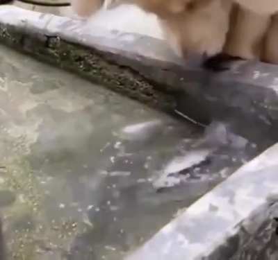 Such a god boi - This level of kindness is Gold ?