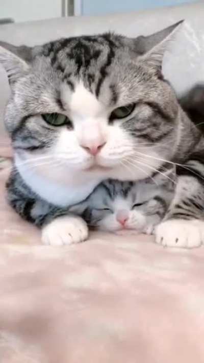 Just adorbs ??