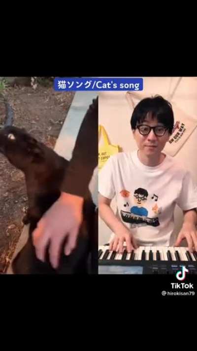 Cat song