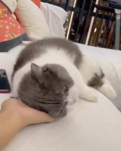 Rrrrrrnmnyuh! Mrrrmmnyerrh.
