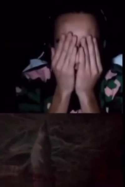 Don’t play horror games with cats around