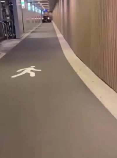 This woman drove into a bicycle storage building in Utrecht, the Netherlands, got stuck, and then can't work out how to reverse all the way out.