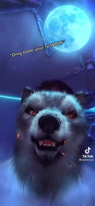 OMG A WOLF ? ? ???????????