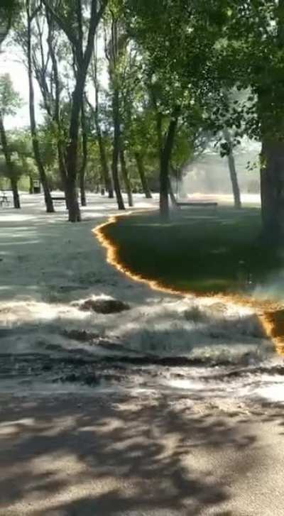 ? Pollen fire looking like a magic spell restoring the grass