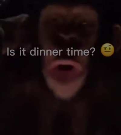 Gotta keep it low quality ?