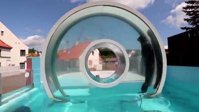 Hamster Wheel for Seals! (Vertical circle swimming pool feature)