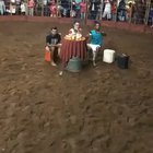 Bull s#!+