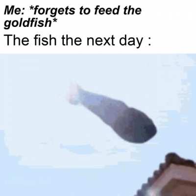 It tasted really good ngl
