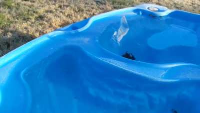 Any idea how this happened??? (My kid's "water table" this morning)