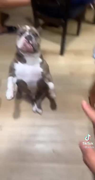 he squared up for some watermelon